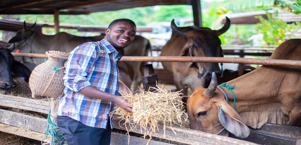 Photo of a young African farmer