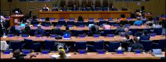 Participants at the 4th session of the permanent forum on people of African descent
