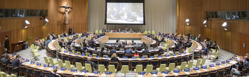 Peacebuilding Commission Holds 2016 Annual Session. UN Photo/Manuel Elias