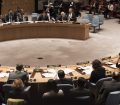 PGA speaking at Security Council debate on working methods