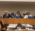 IOM international dialogue on migration