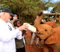 Visiting elephants orphanage in Kenya
