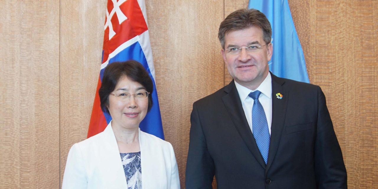 Meeting with Commissioner of the National Supervisory Commission of China