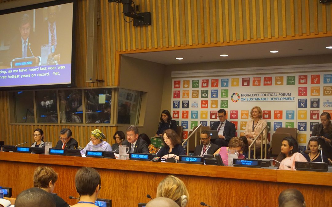 Opening of the ministerial segment of the High-level Political Forum on sustainable development HLPF under the theme: “Transformation towards sustainable and resilient societies”