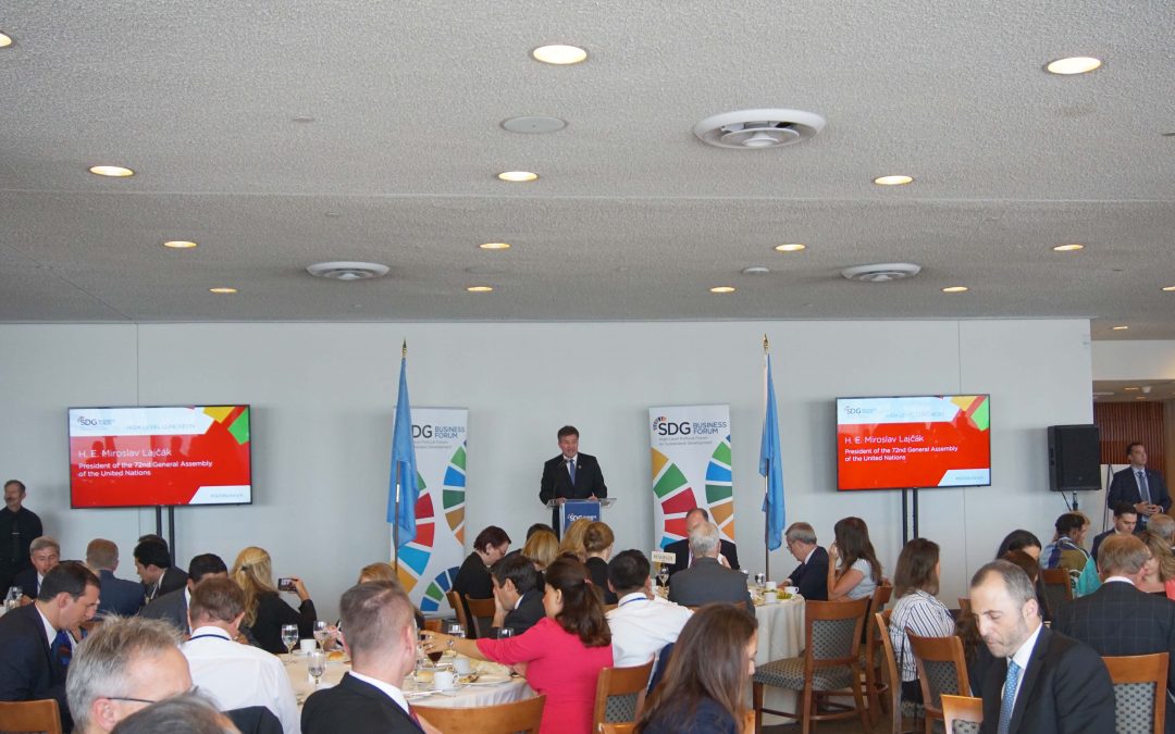 High-Level Lunch: Measuring Business Progress on the SDGs