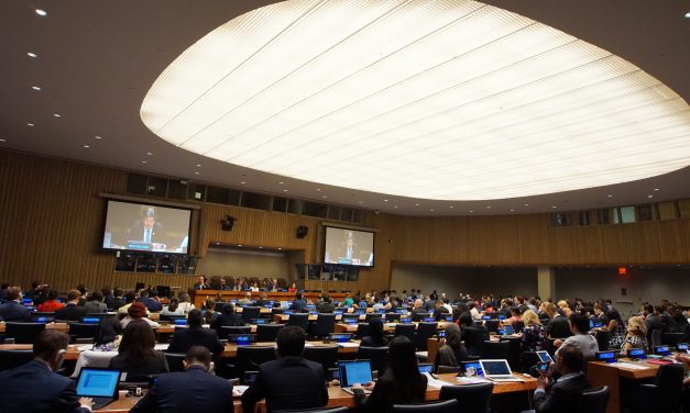 Towards a Global Pact for the Environment