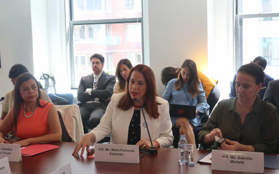 High-Level Meeting of Women with Disabilities in Political and Public Leadership: Towards Beijing+25