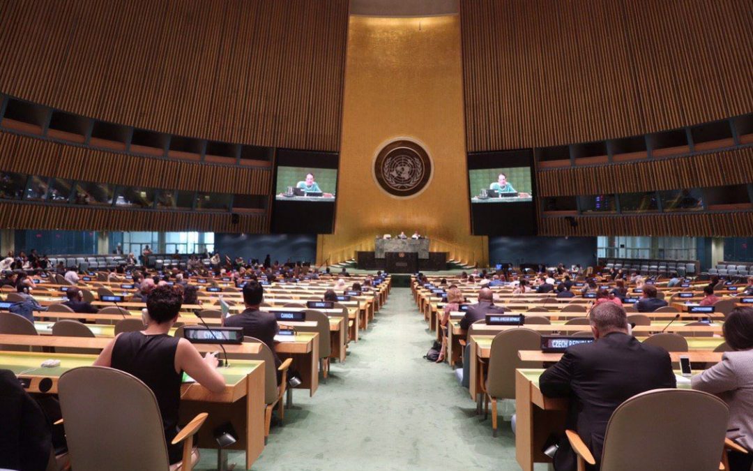 100th plenary meeting of the General Assembly