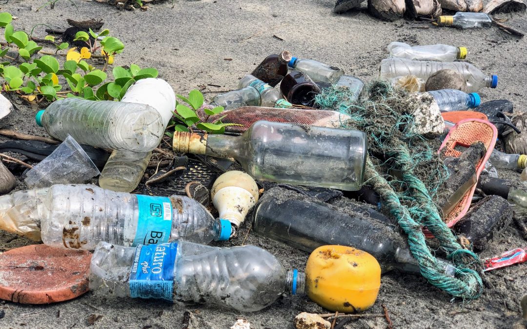 Op-Ed: We Must Save Our World From Drowning in Plastic