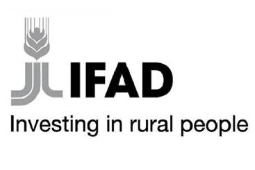 Международный фонд сельскохозяйственного развития
