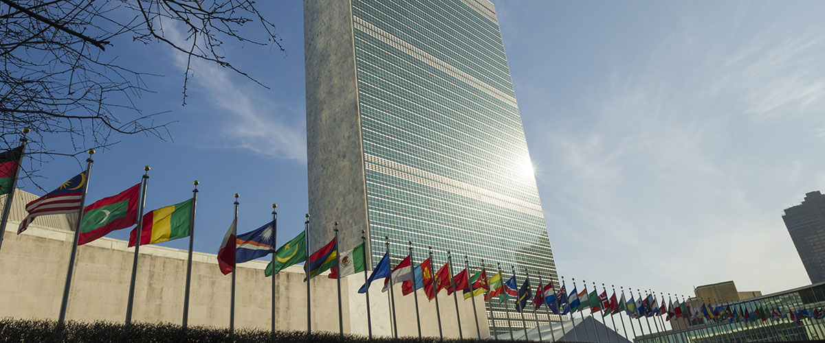 Курсовая работа по теме Практика Международного Суда ООН в области урегулирования экономических споров государств
