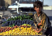 Соран, 12 лет, торгует фруктами и овощами на рынке Эрбиля (Ирак). Крайняя нищета ведет к увеличению числа детей, которые бросают школу и становятся беспризорными или идут работать. Фото: ЮНИСЕФ.