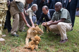 Le Secrétaire général, M. Ban Ki-moon (au centre, à droite) et son épouse, Yoo Soon-taek (au centre, à gauche), ont visité le Parc national de Nairobi et adopté un lionceau pour témoigner de l'appui qu'ils apportent à la lutte contre le trafic d'animaux au niveau mondial. Le Secrétaire général a déclaré qu'il avait adopté ce lionceau de six mois, dont le nom en swahili, Tumaini, signifie "espoir", pour manifester sa solidarité avec les efforts de préservation déployés par le peuple kényan et en hommage au Service des espèces sauvages du Kenya et à ses gardes forestiers. Photo ONU/Eskinder Debebe