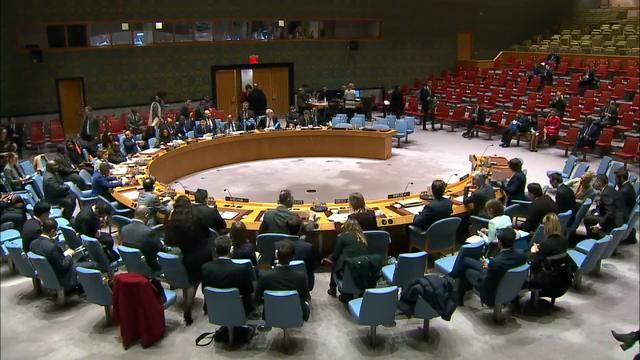 联合国安理会会议视频