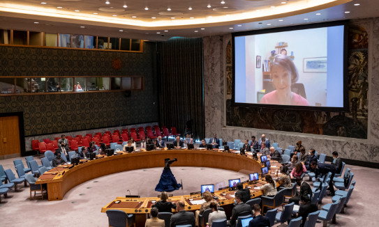 Members in the chamber around the table, looking at a screen with Loraine Sievers (on screen), Director of Security Council Procedure and Co-author of “The Procedure of the UN Security Council”, briefs the Security Council meeting on working methods of the Security Council.
