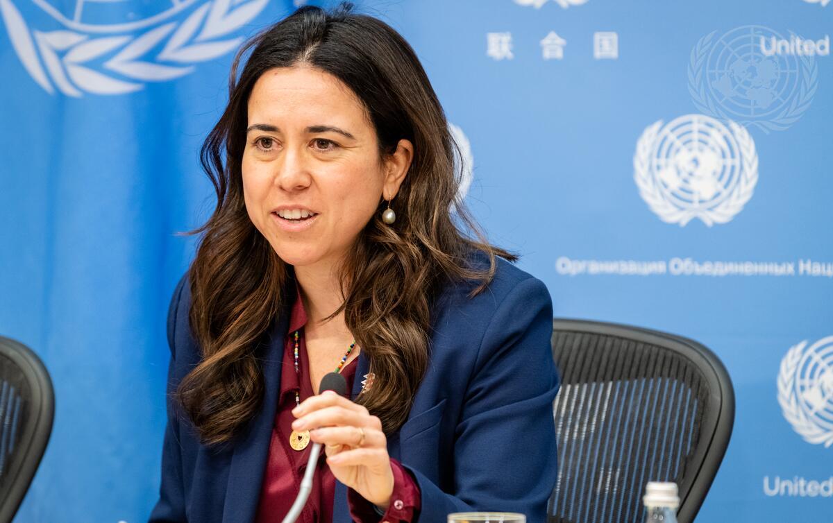 Lana Zaki Nusseibeh, Permanent Representative of United Arab Emirates to the United Nations and President of the Security Council for the month of March. (UN Photo/Eskinder Debebe)