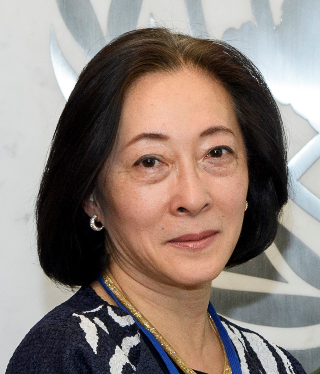 Mizutori Mami Special Representative Of The Secretary General For Disaster Risk Reduction United Nations Secretary General