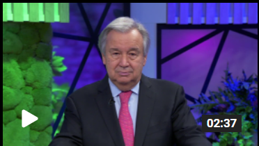 Video Message by UN Secretary - General António Guterres, , on International Women's Day 2022