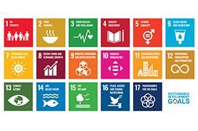 Icons of all 17 Sustainable Development Goals.