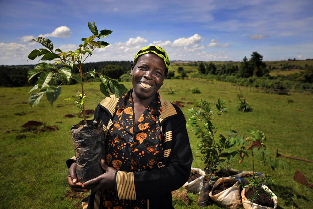 Grace, a farmer from Kipilat village, and a leading member of the forest community in Ainabkoi, Kenya, planting a tree in 2012.