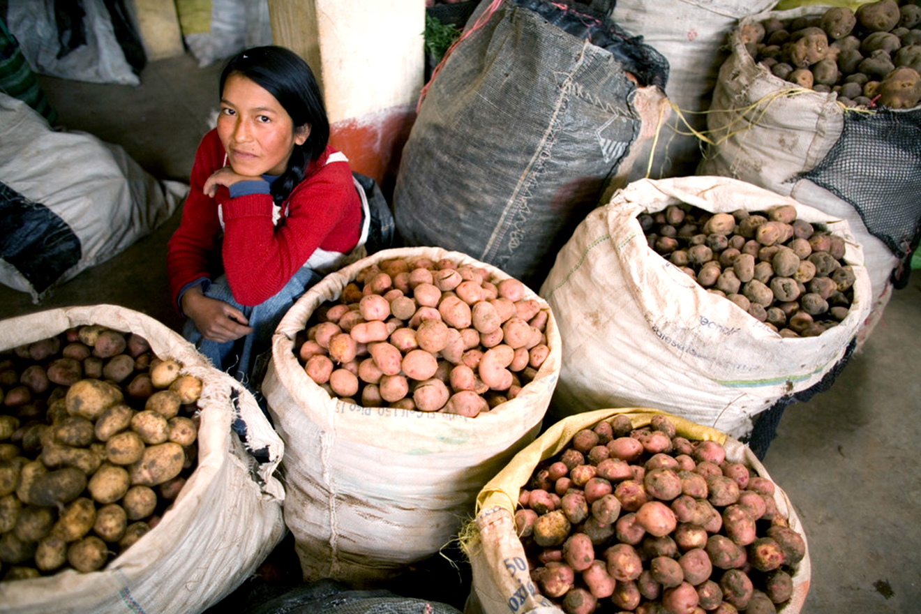 A woman potato grower crouching among sacks of potatoes.