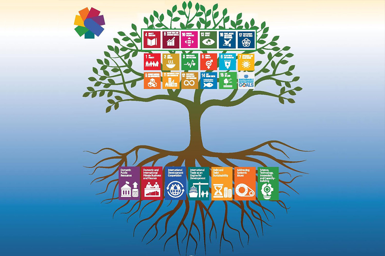 Tree with roots and branches featuring the Sustainable Development Goals cards.