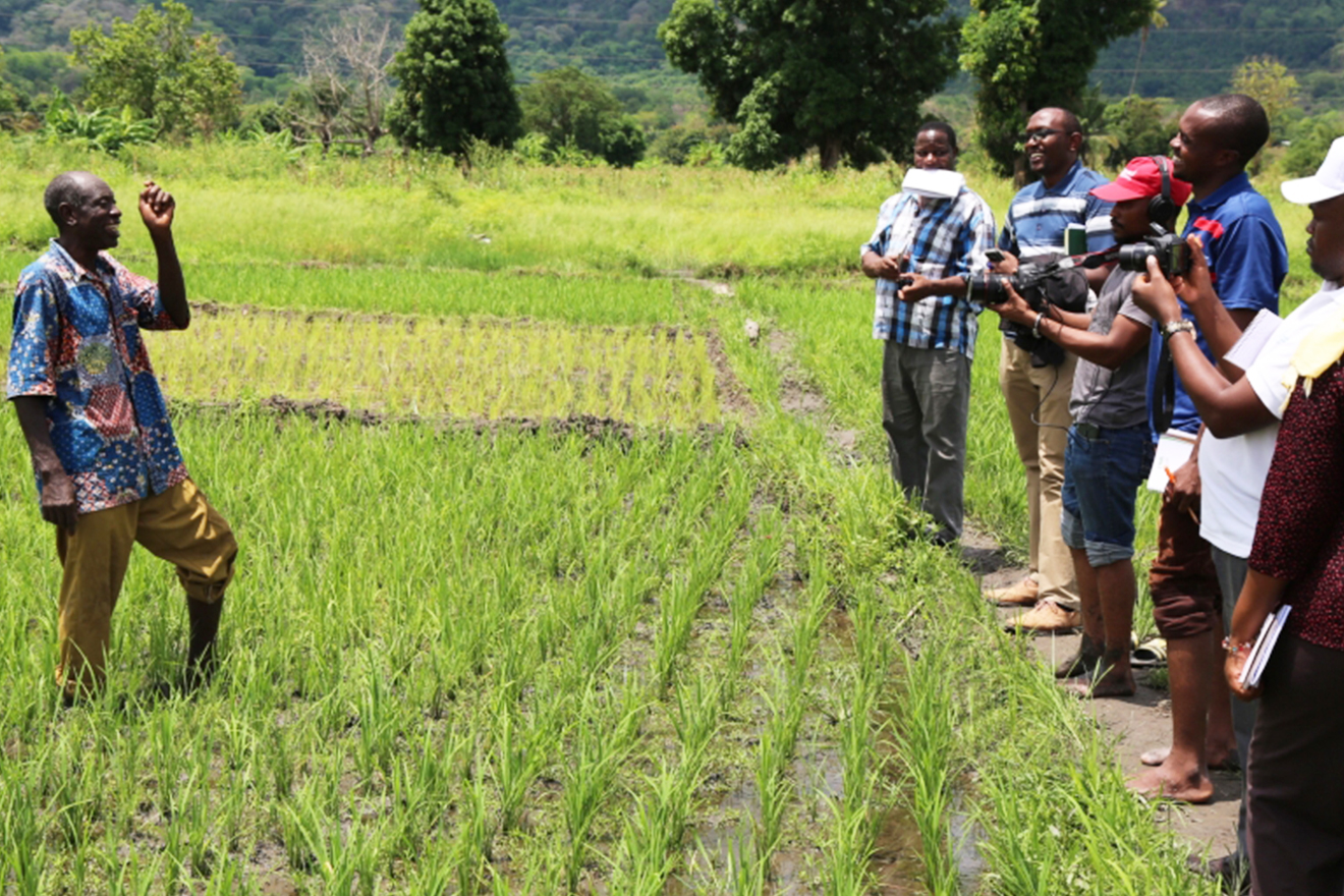 Zablon stands in his rice fields while the students, to his right, take pictures of him and clap their hands.