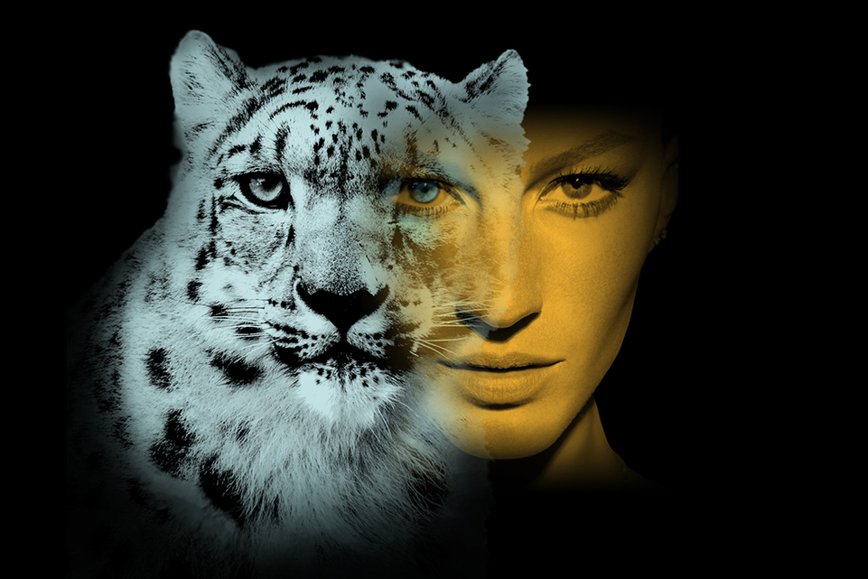 composite image of Gisele Bündchen and a snow leopard