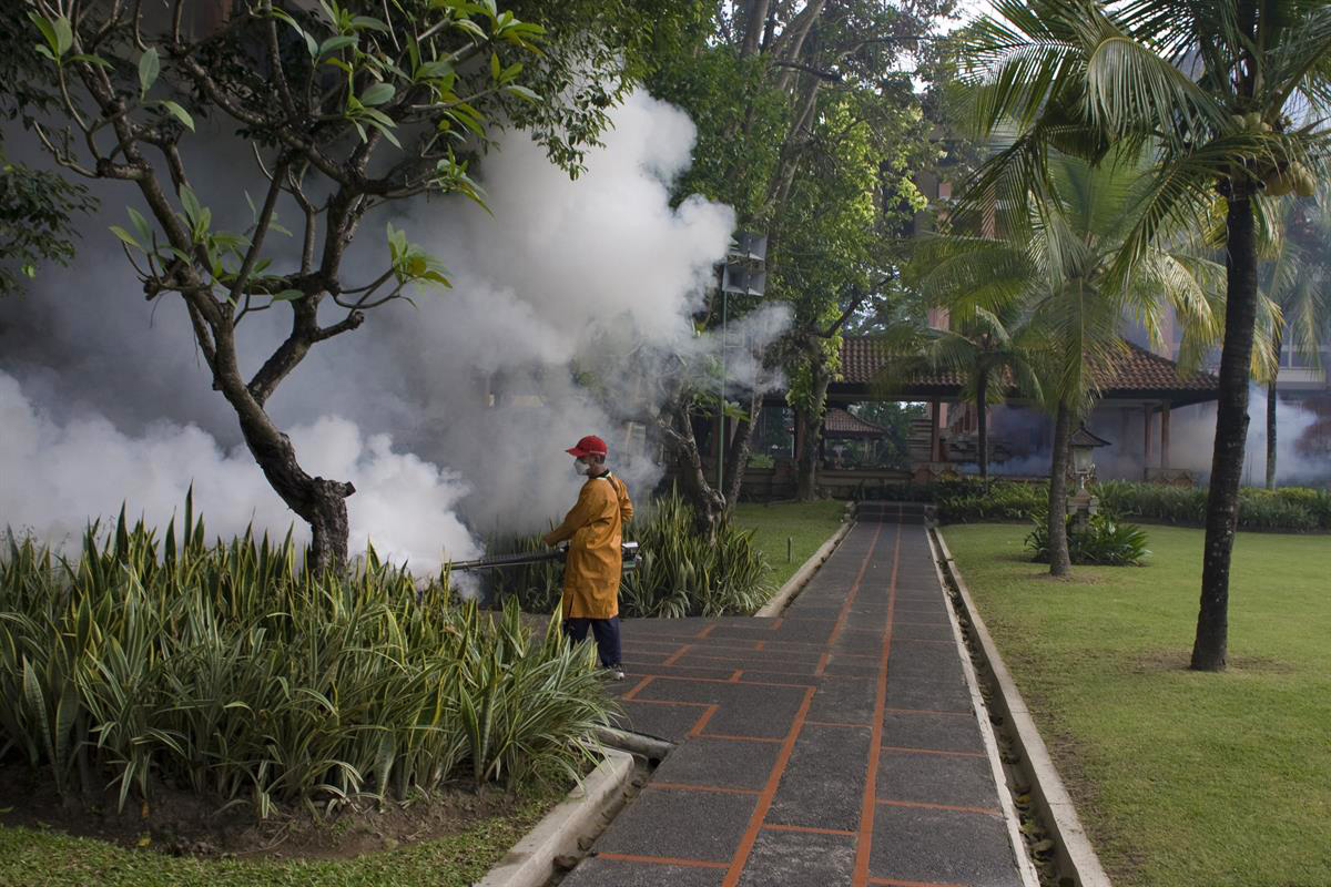 Mosquito fogging to prevent dengue and other diseases transmitted by Aedes mosquitoes in Bali, Indonesia