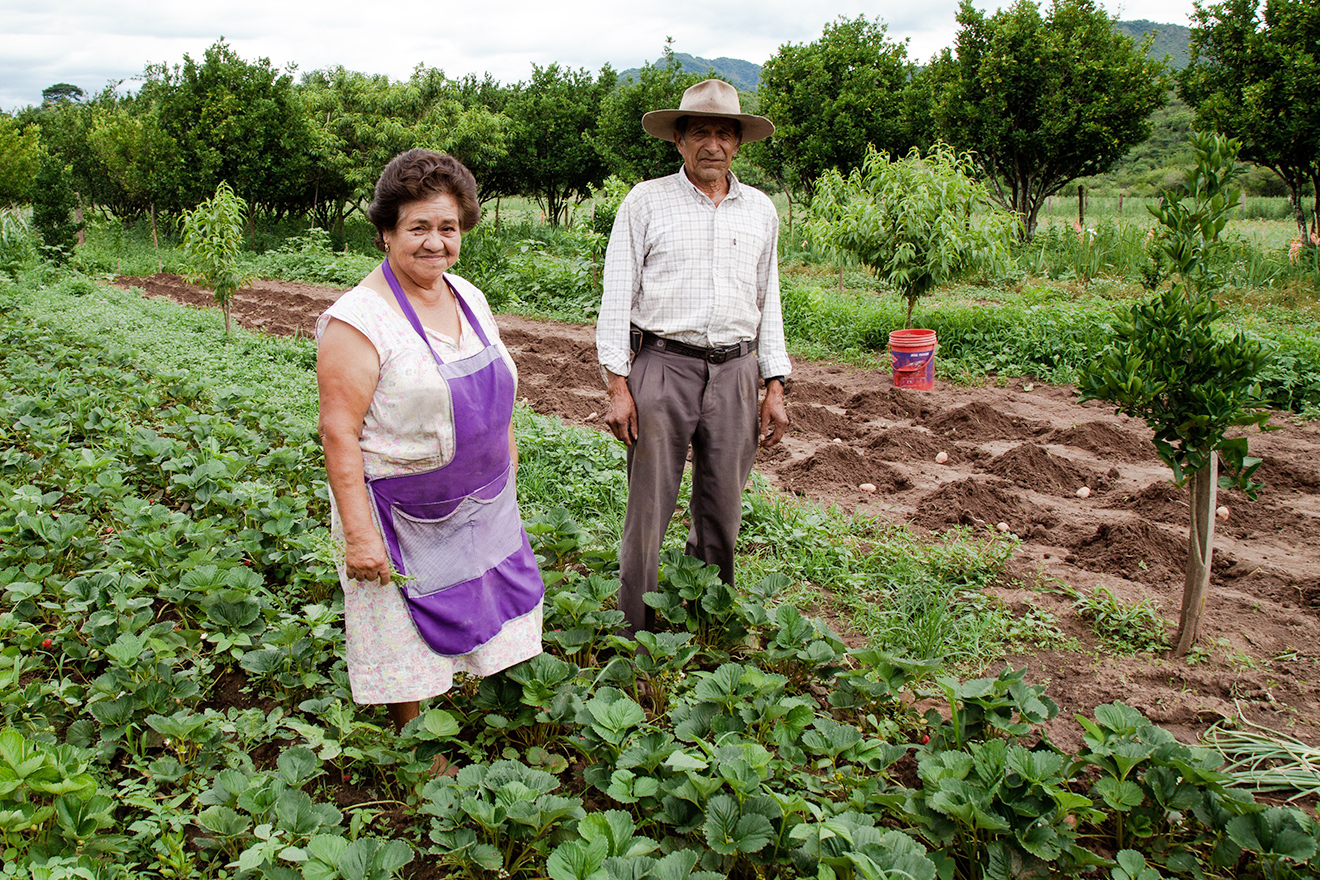Cesaria Illescas Gonzales, better known by her nickname Chepita, stands with her husband for a portrait in their farmland.