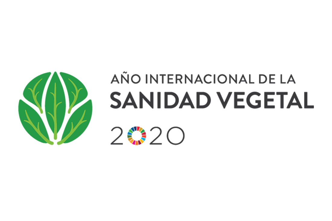 Logotipo Año de la Sanidad Vegetal