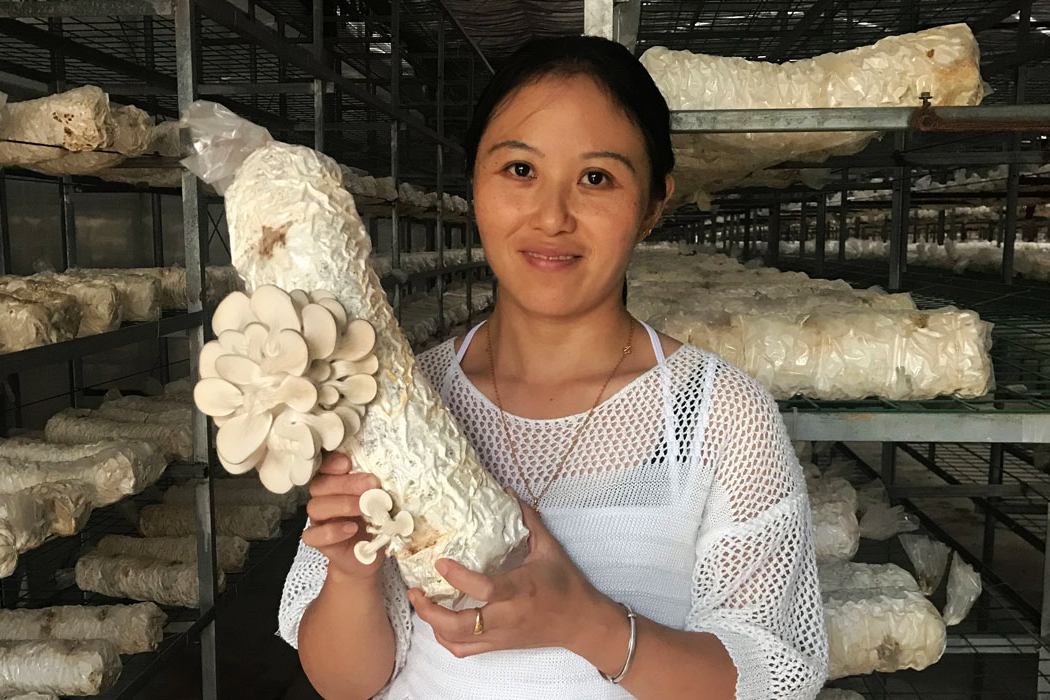 woman holding cultivated mushrooms
