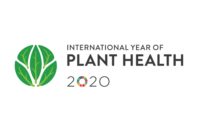 International Year of Plant Health 2020 logo