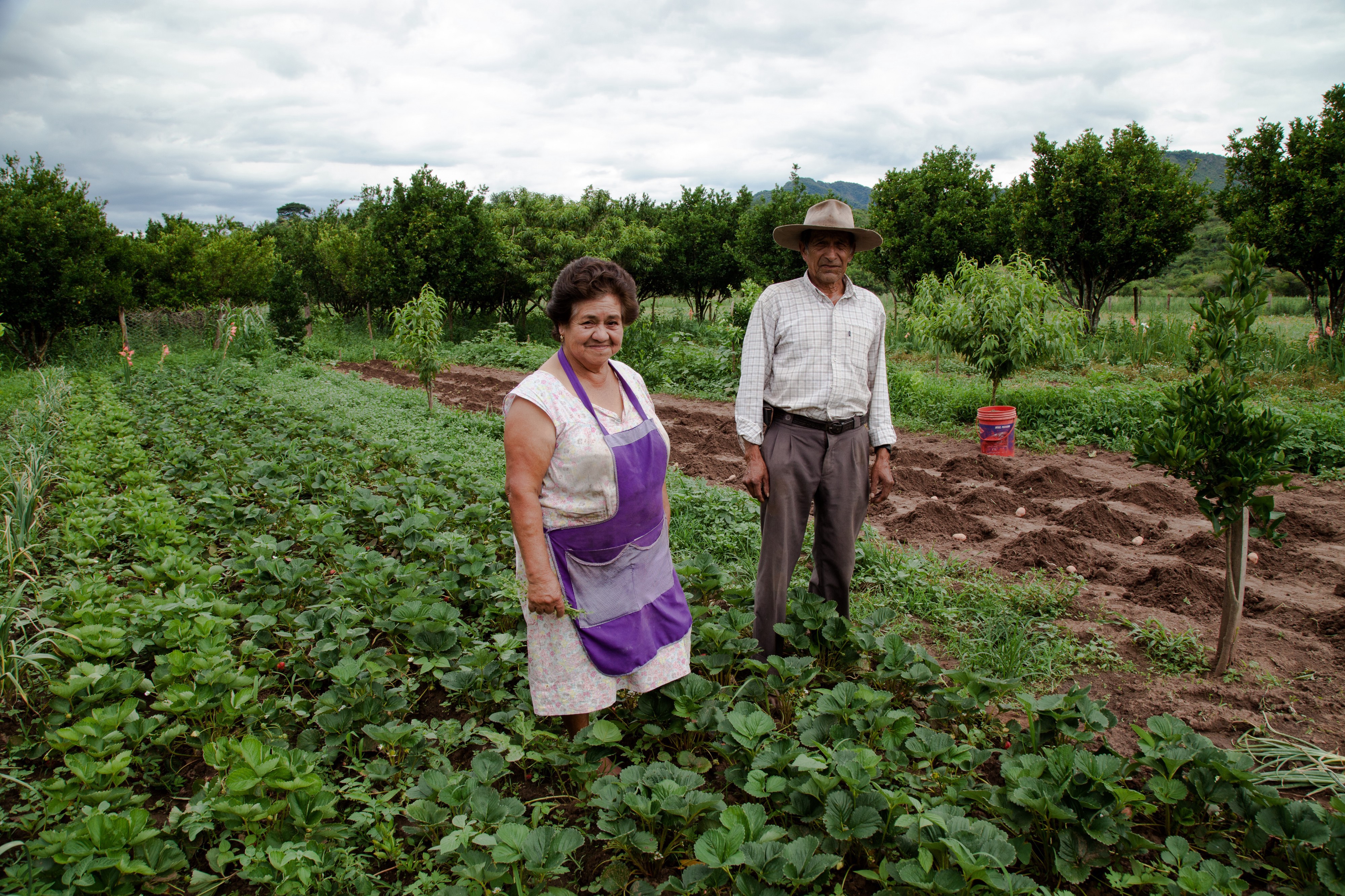 Cesaria Illescas Gonzales' farm has been rehabilitated as part of a WFP program to increase resistance to climatic shocks.