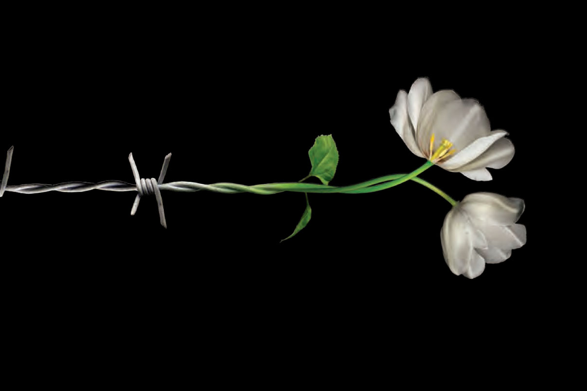 flower growing out of barbed wire