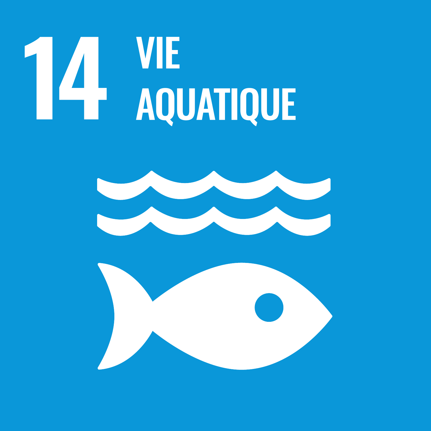 Objectif de développement durable 14 : vie aquatique