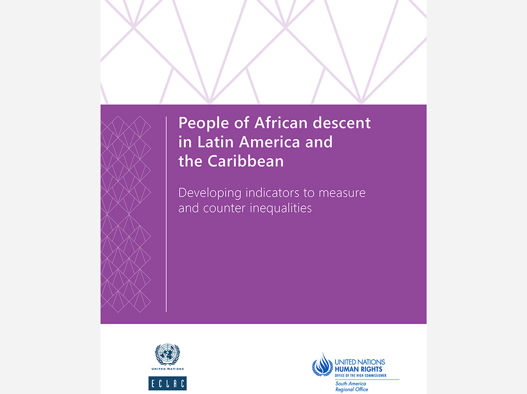 People of African descent in Latin America and the Caribbean: Developing indicators to measure and counter inequalities