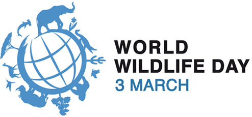 WWD logo