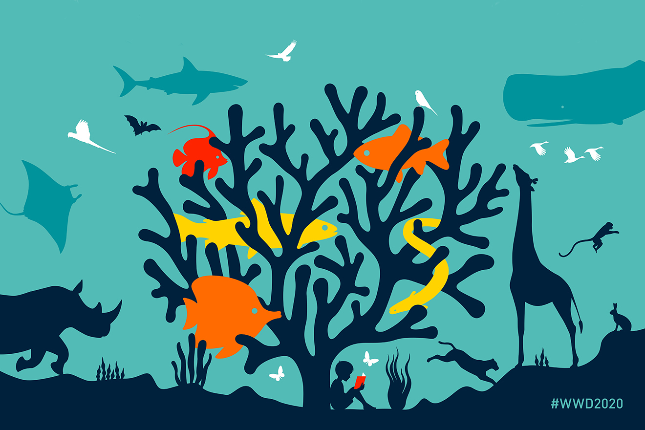 Ilustración de la campaña por el Día de la Vida Silvestre 