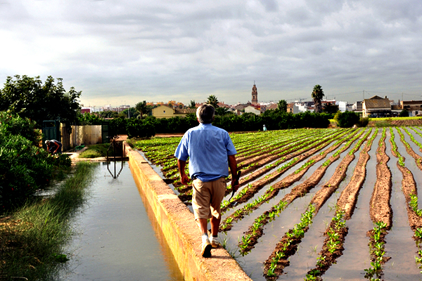 Man walking along field with irrigation system.