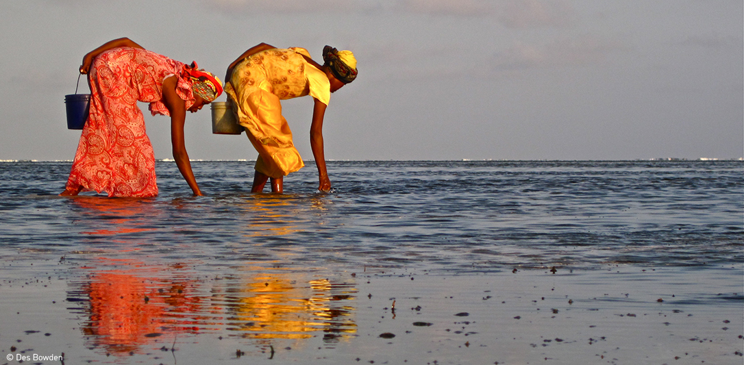 妇女与海洋是摄影比赛的获胜者之一。作者:Des Bowden.