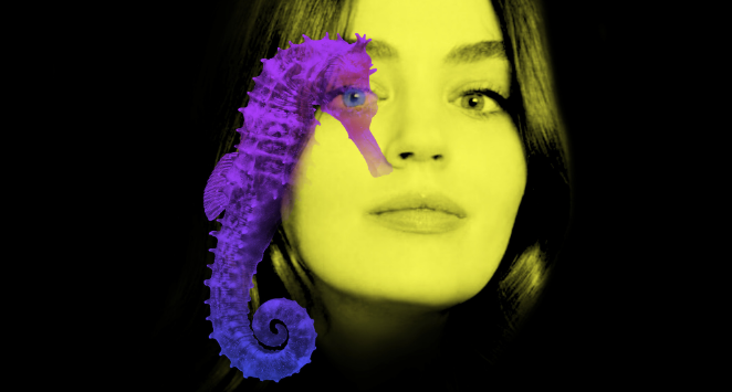 Photomontage entre le visage d'une femme et un hippocampe