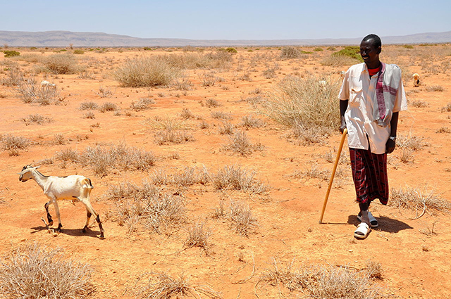 herder in the desert