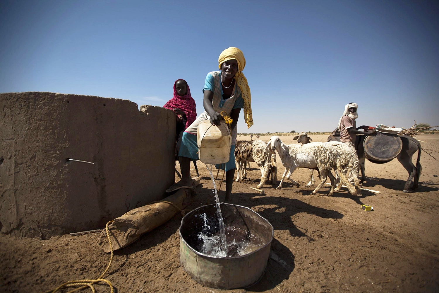 woman herding goats