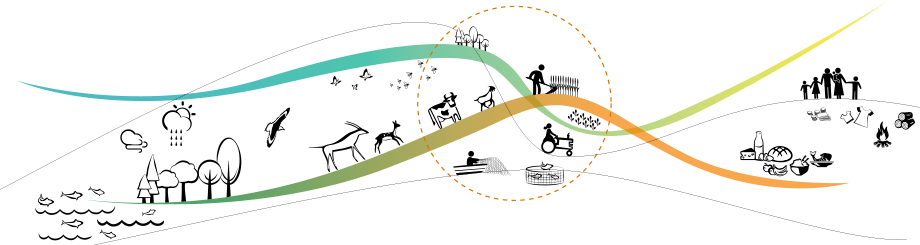 Illustration representing sustainable Food and Agriculture