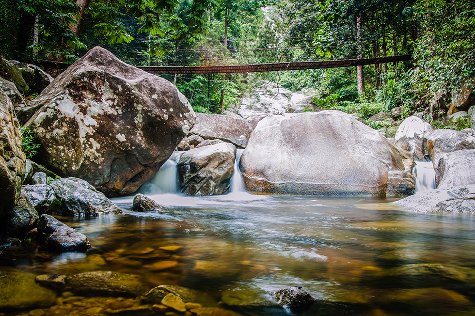 view of the canopy walk over a river