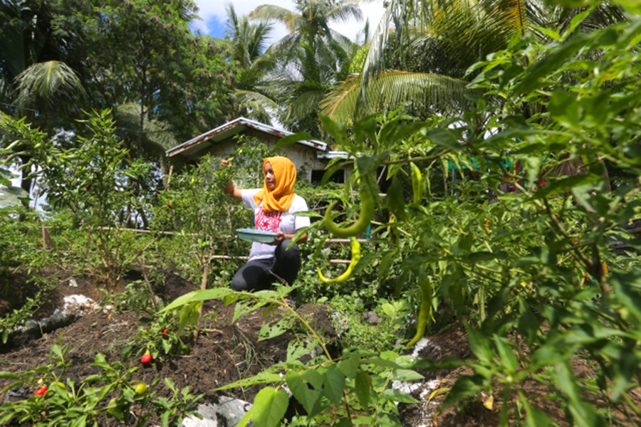 A woman kneels in front of a plant to tend to it. 