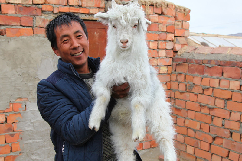 farmer with goat