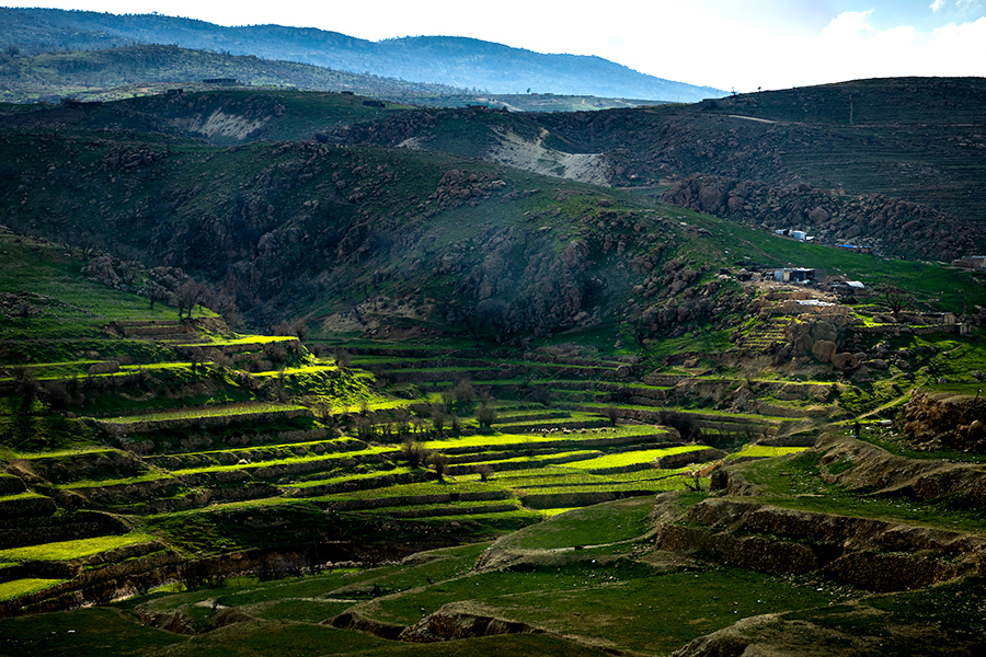 The side of a mountain with farming terraces. 