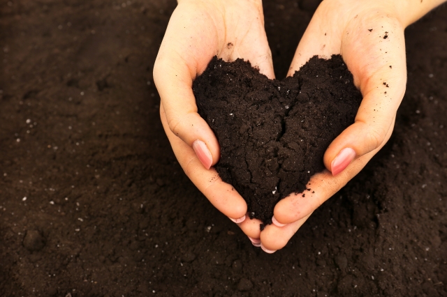 handful of soil shaped like a heart